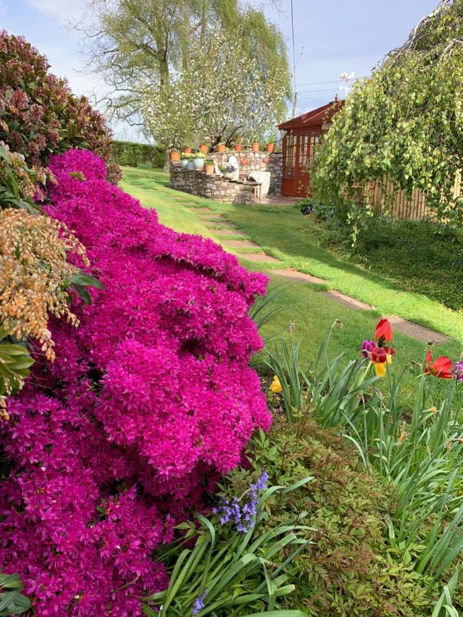 Llanwenarth Cottage A Beautiful Place To Just Be. Abergavenny Luaran gambar