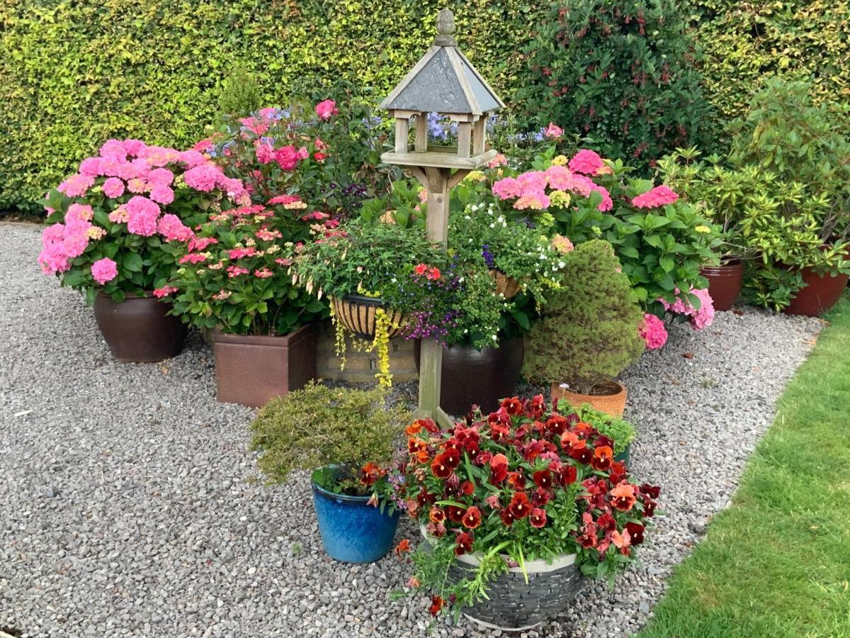 Llanwenarth Cottage A Beautiful Place To Just Be. Abergavenny Luaran gambar