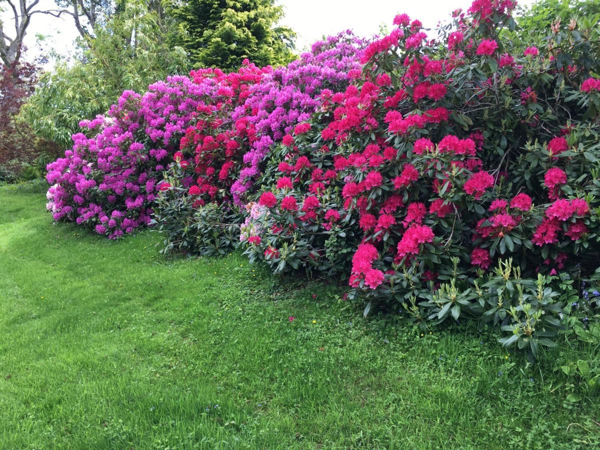 Llanwenarth Cottage A Beautiful Place To Just Be. Abergavenny Luaran gambar