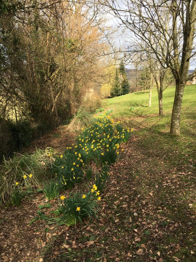 Llanwenarth Cottage A Beautiful Place To Just Be. Abergavenny Luaran gambar