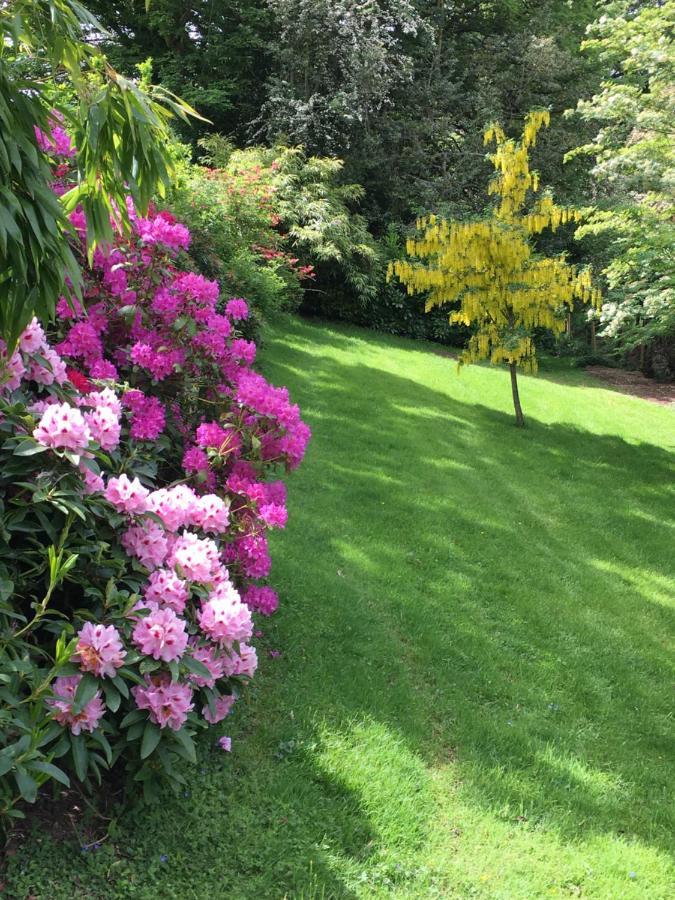 Llanwenarth Cottage A Beautiful Place To Just Be. Abergavenny Luaran gambar