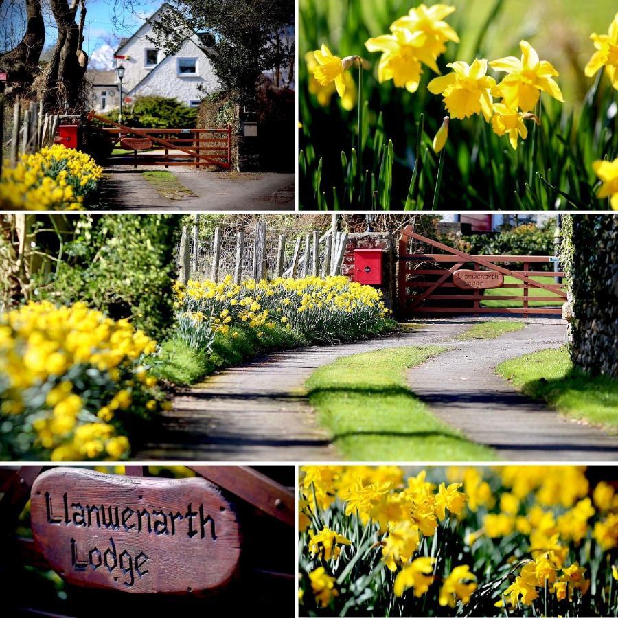 Llanwenarth Cottage A Beautiful Place To Just Be. Abergavenny Luaran gambar